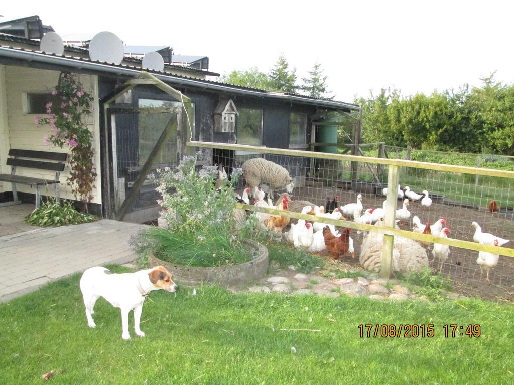 Bakkegarden Homestay Spottrup Exterior foto